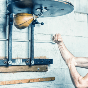 Speedbag Seeland Boxing Biel
