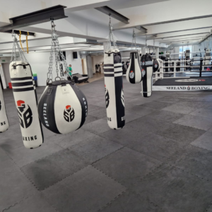 Seeland Boxing Gym in Biel
