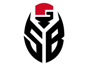 logo seeland boxing Logo Seeland Boxing Biel